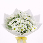 Beyaz Papatya Zarafeti